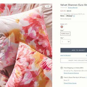 Anthropologie - Velvet Shannon Euro Sham